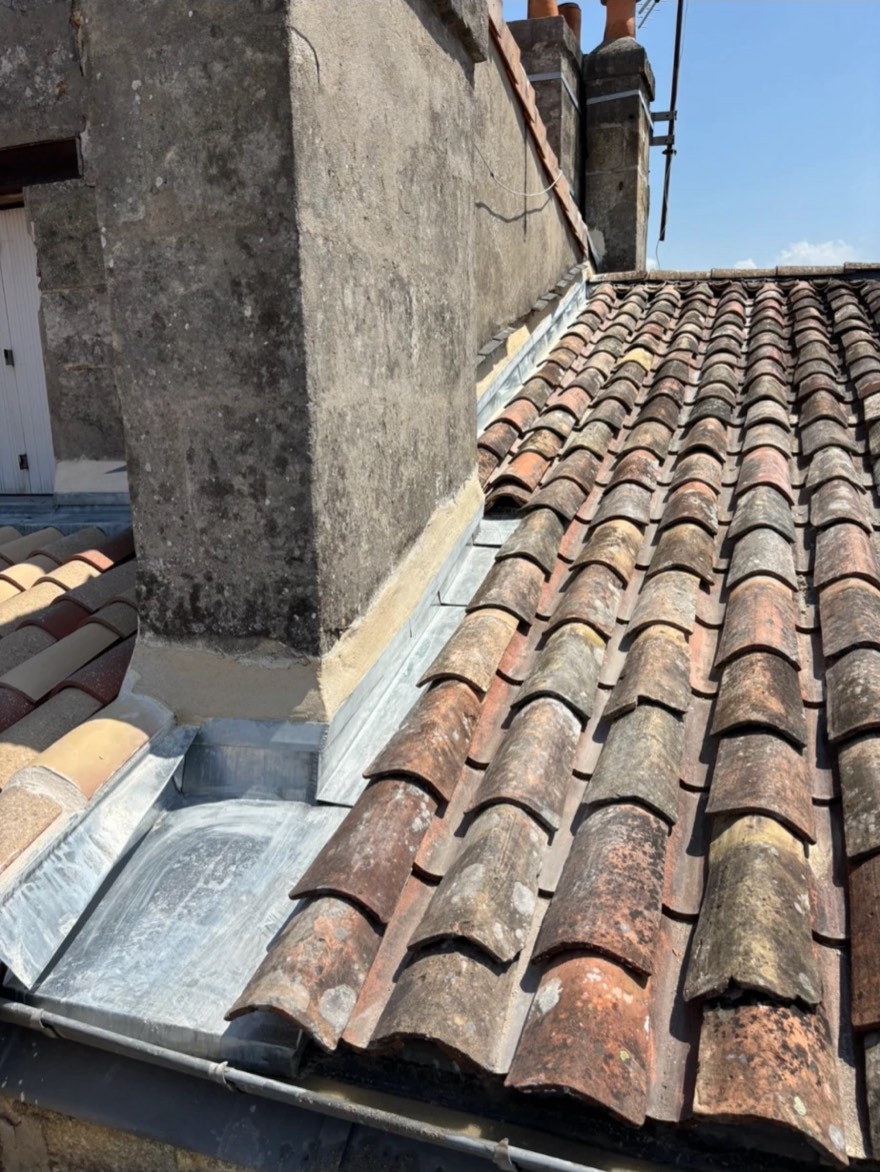 Solin zinc autour d'une souche
